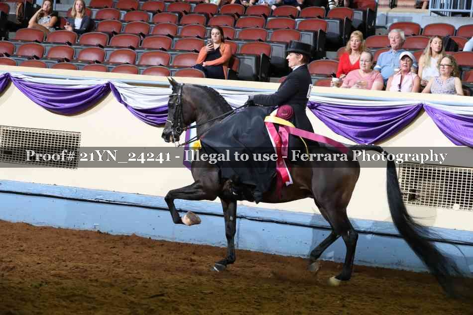 Proof Number 21YN_24241