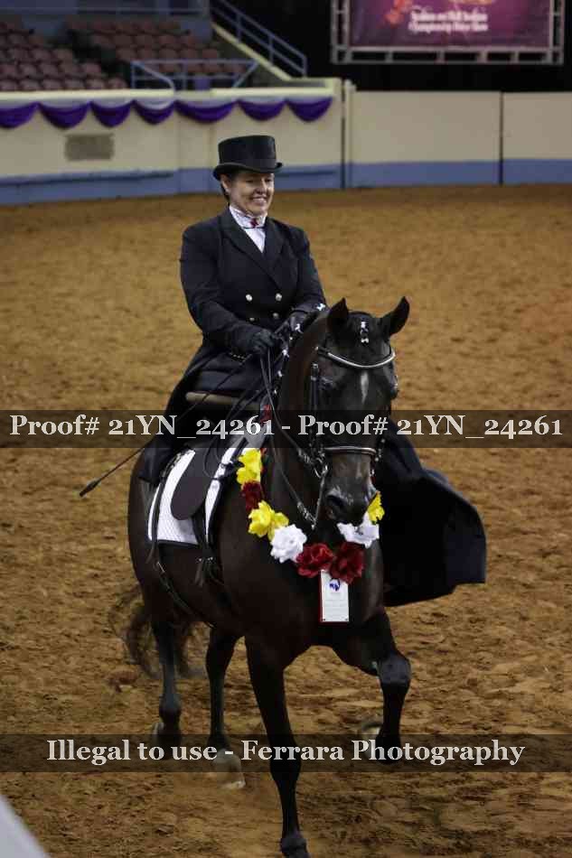 Proof Number 21YN_24261