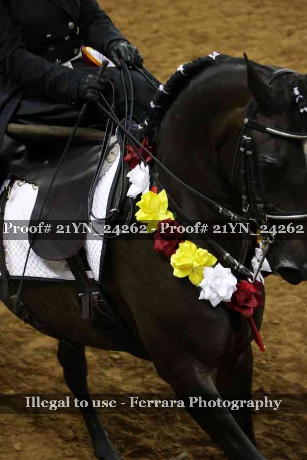 Proof Number 21YN_24262