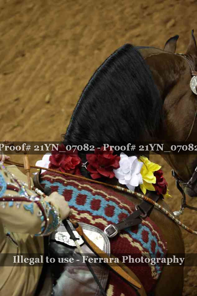 Proof Number 21YN_07082