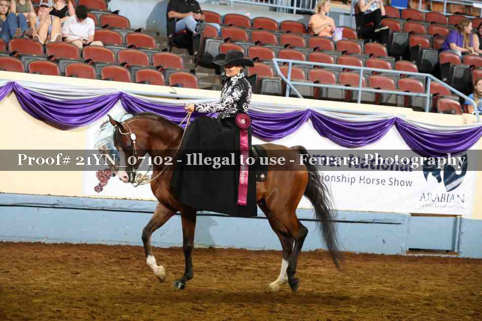 Proof Number 21YN_07102