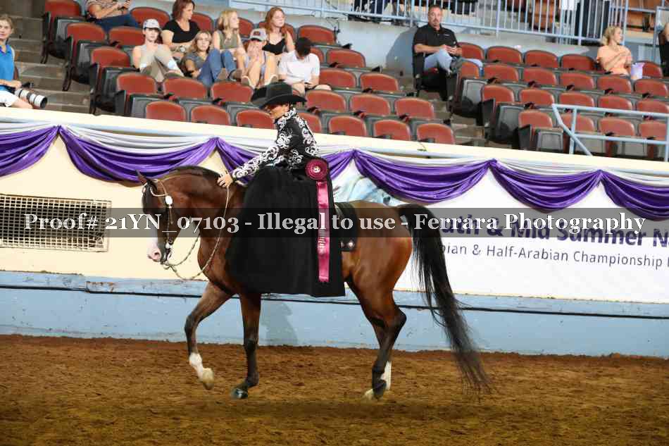 Proof Number 21YN_07103
