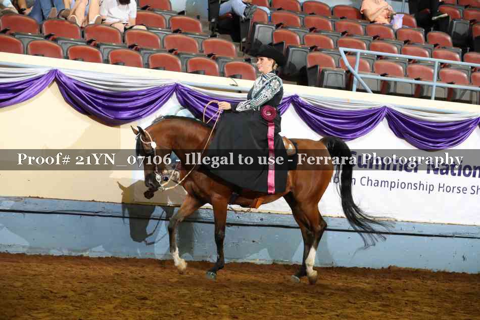 Proof Number 21YN_07106
