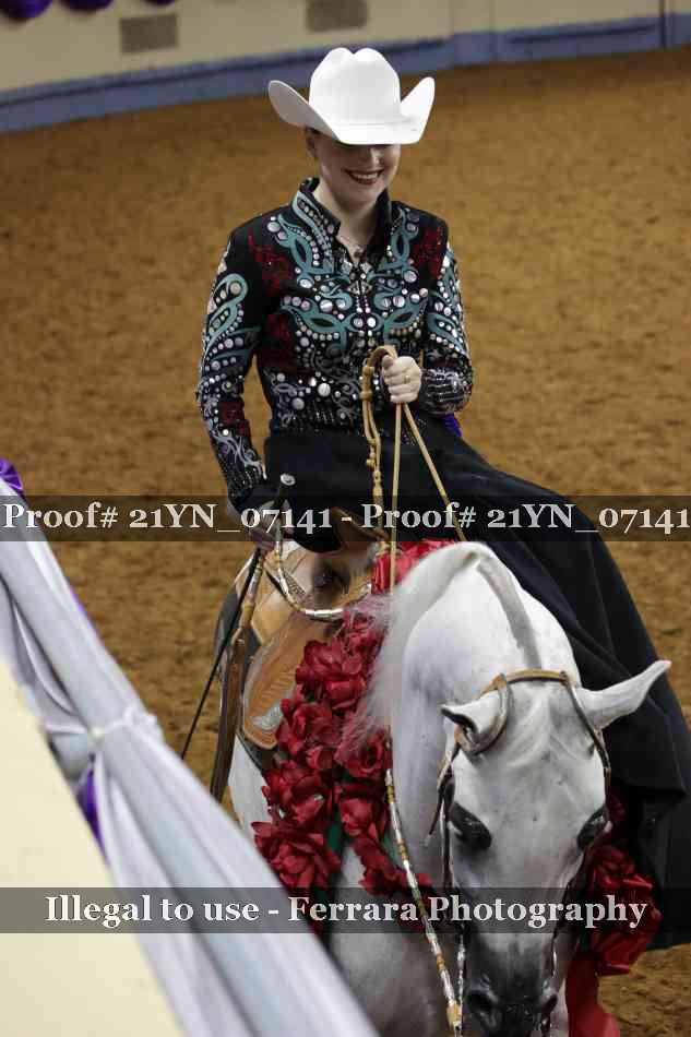 Proof Number 21YN_07141