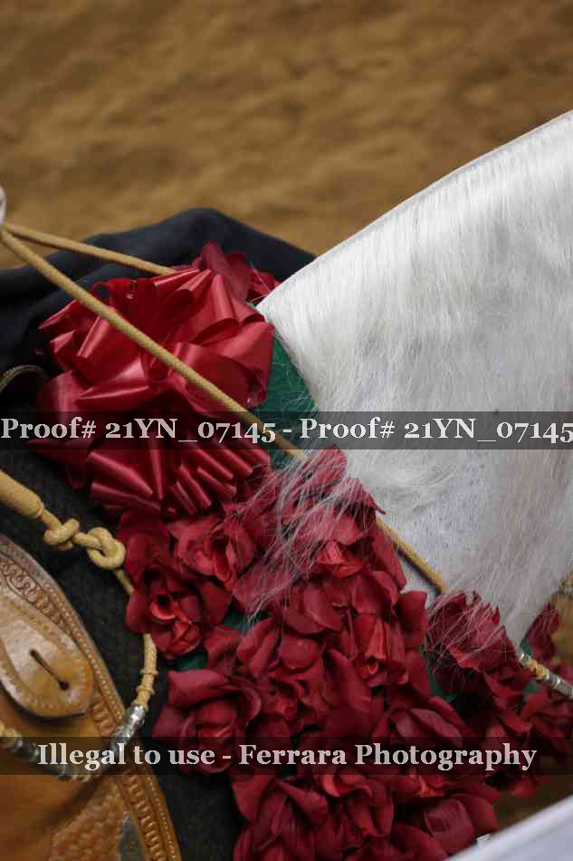 Proof Number 21YN_07145