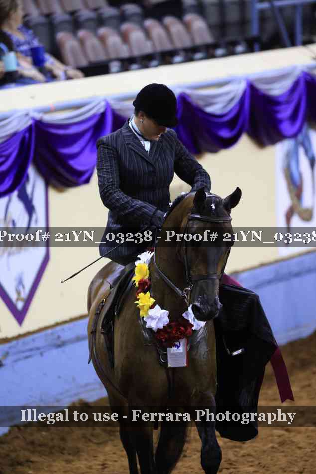 Proof Number 21YN_03238