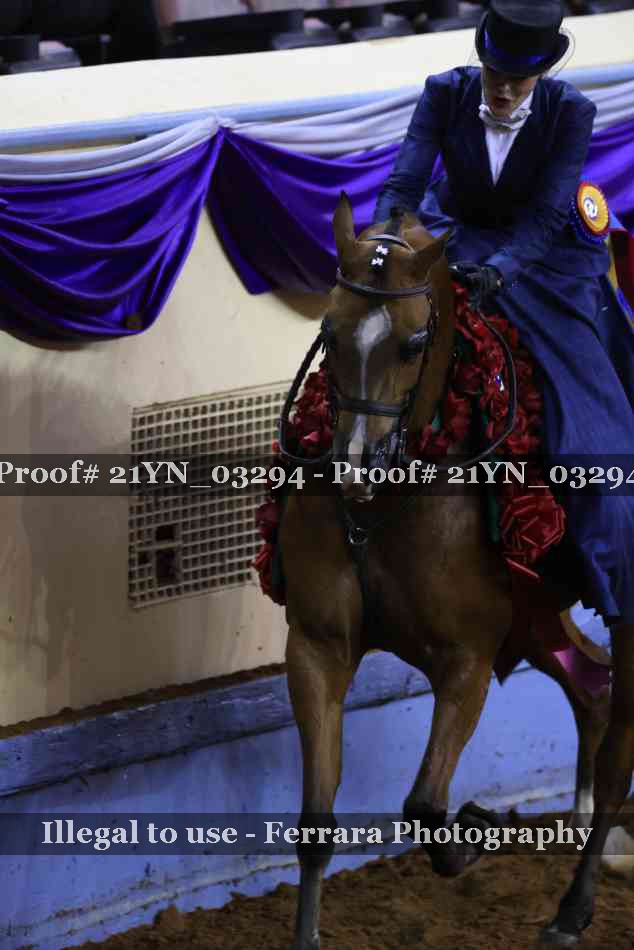 Proof Number 21YN_03294