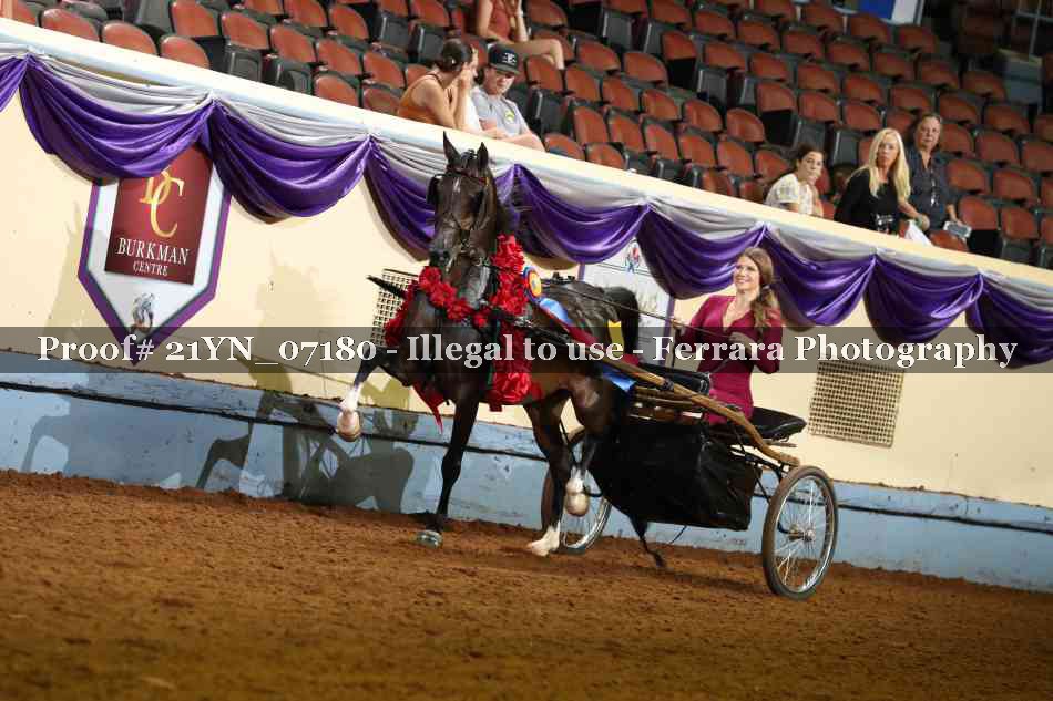 Proof Number 21YN_07180
