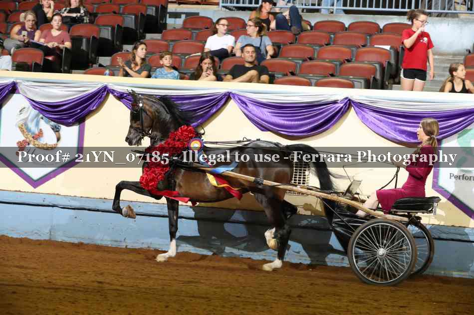 Proof Number 21YN_07185