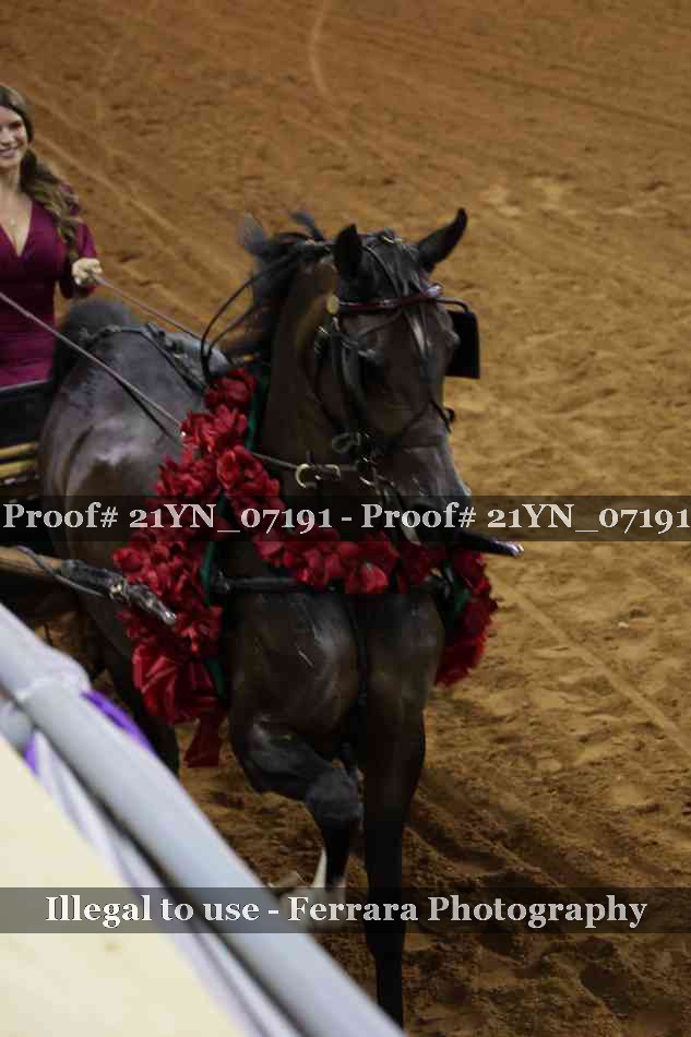 Proof Number 21YN_07191
