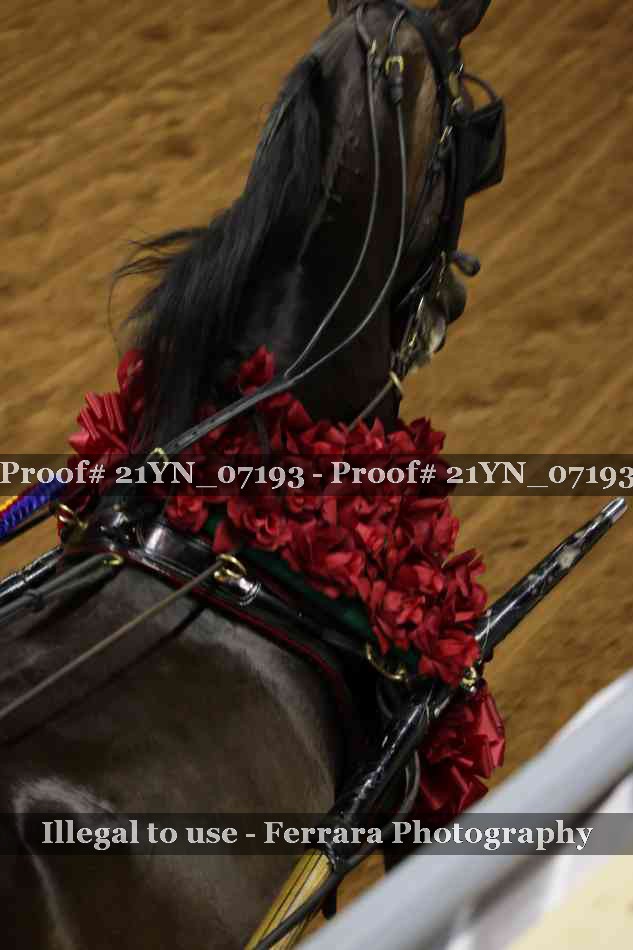 Proof Number 21YN_07193