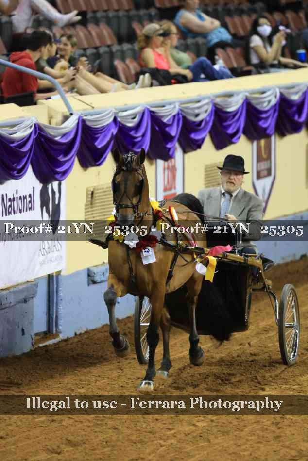 Proof Number 21YN_25305