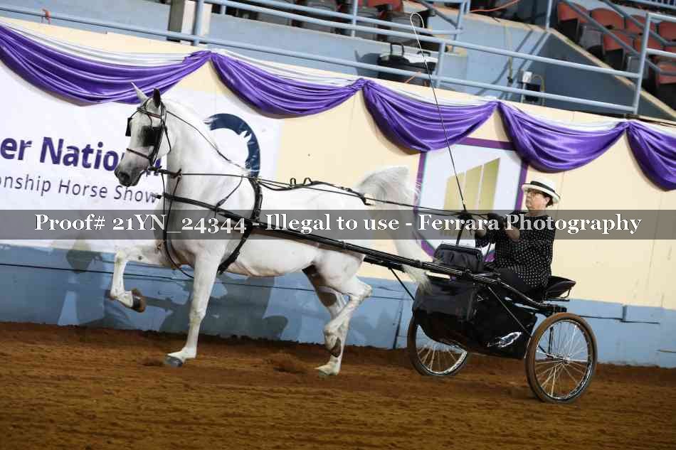 Proof Number 21YN_24344
