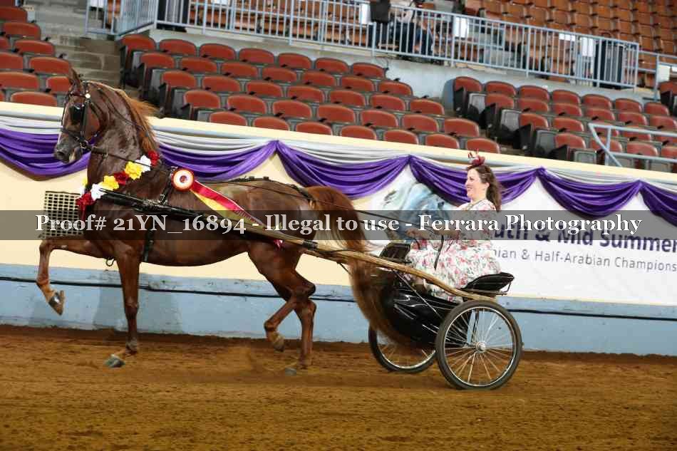 Proof Number 21YN_16894