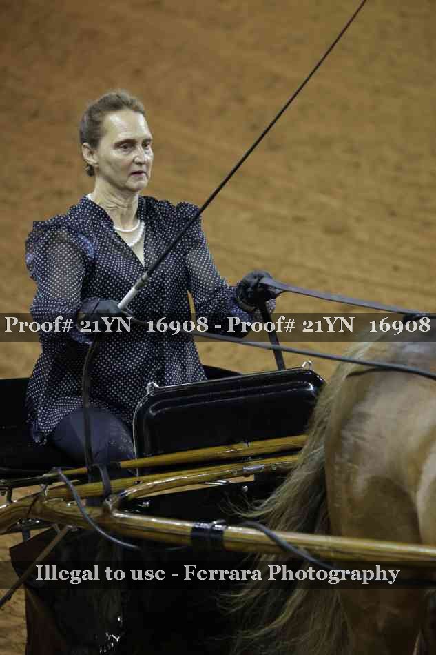 Proof Number 21YN_16908