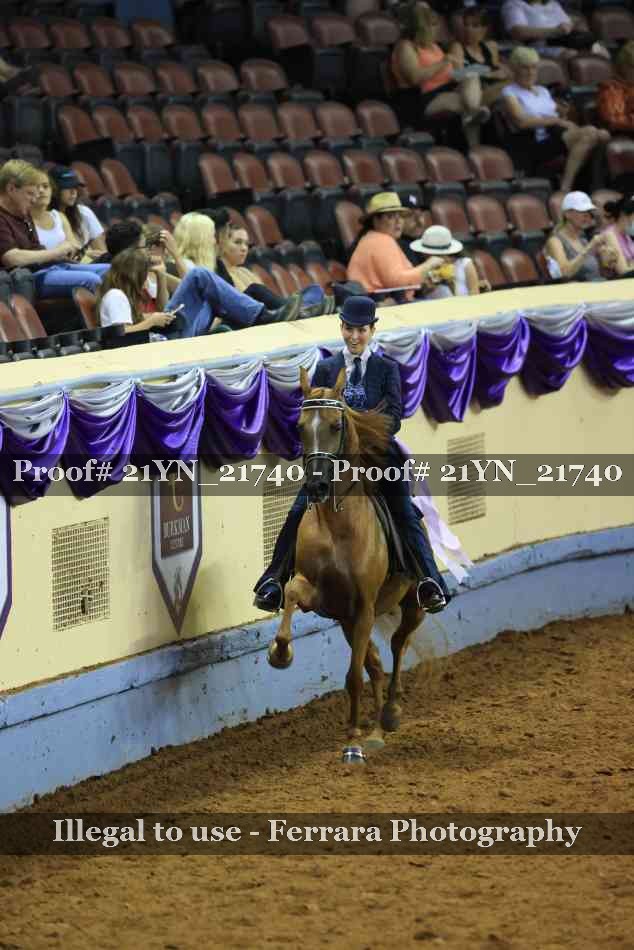 Proof Number 21YN_21740