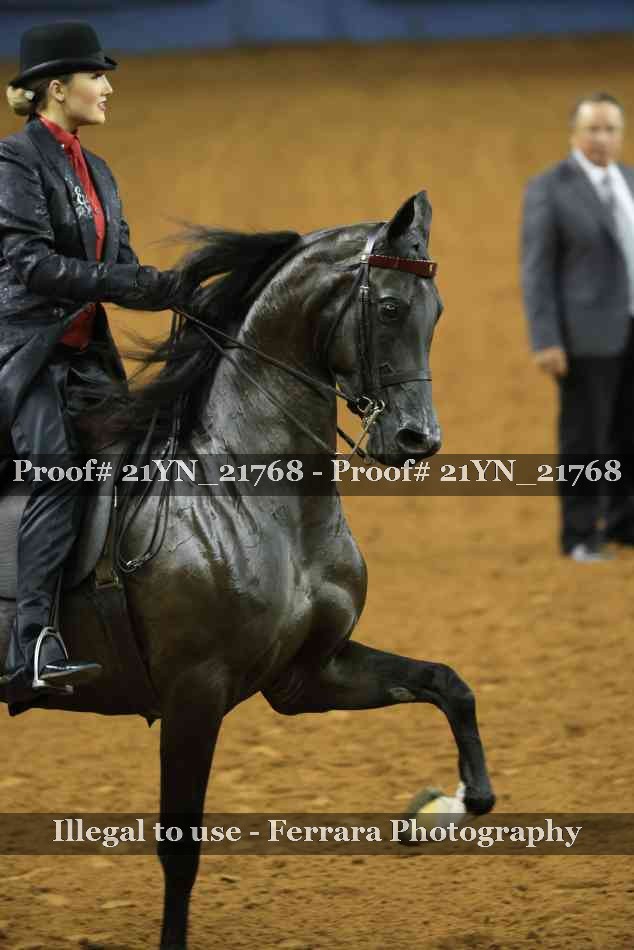 Proof Number 21YN_21768