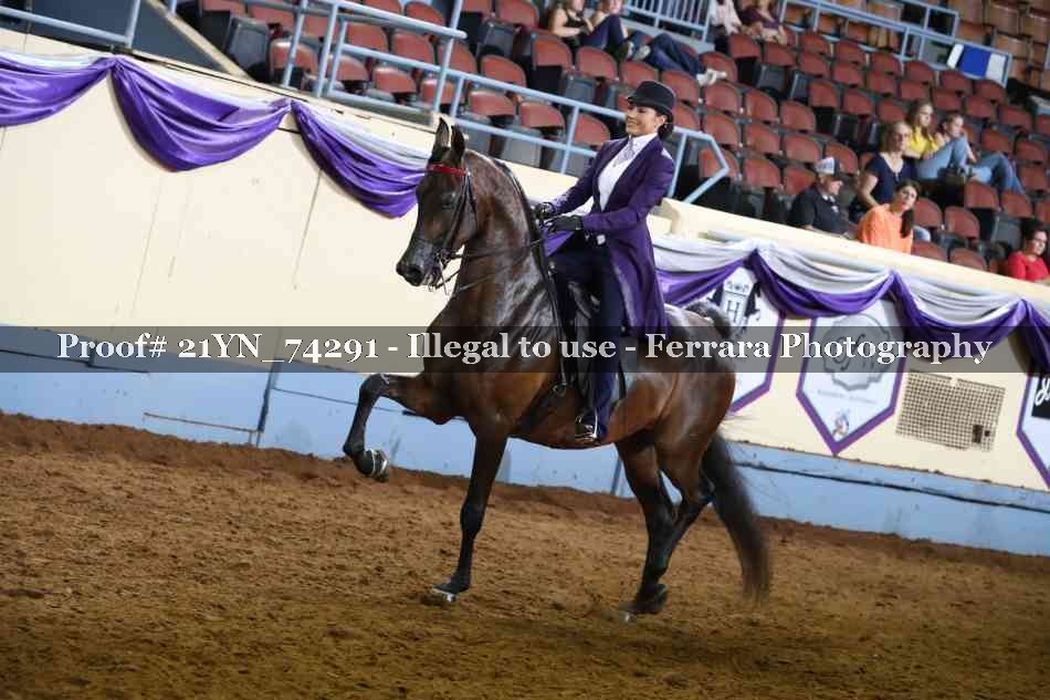 Proof Number 21YN_74291
