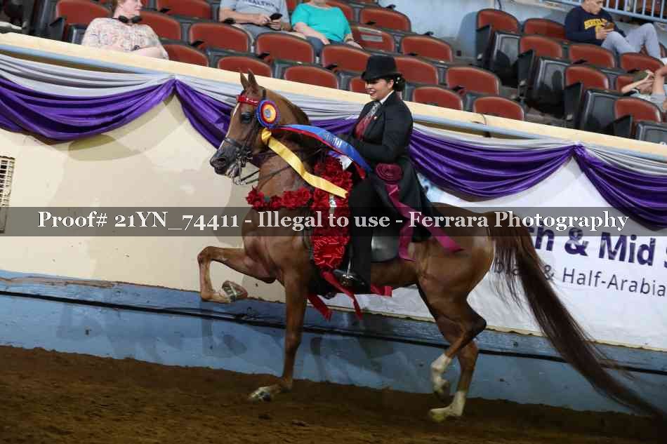 Proof Number 21YN_74411