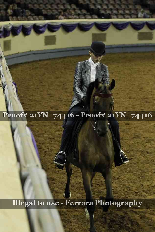 Proof Number 21YN_74416