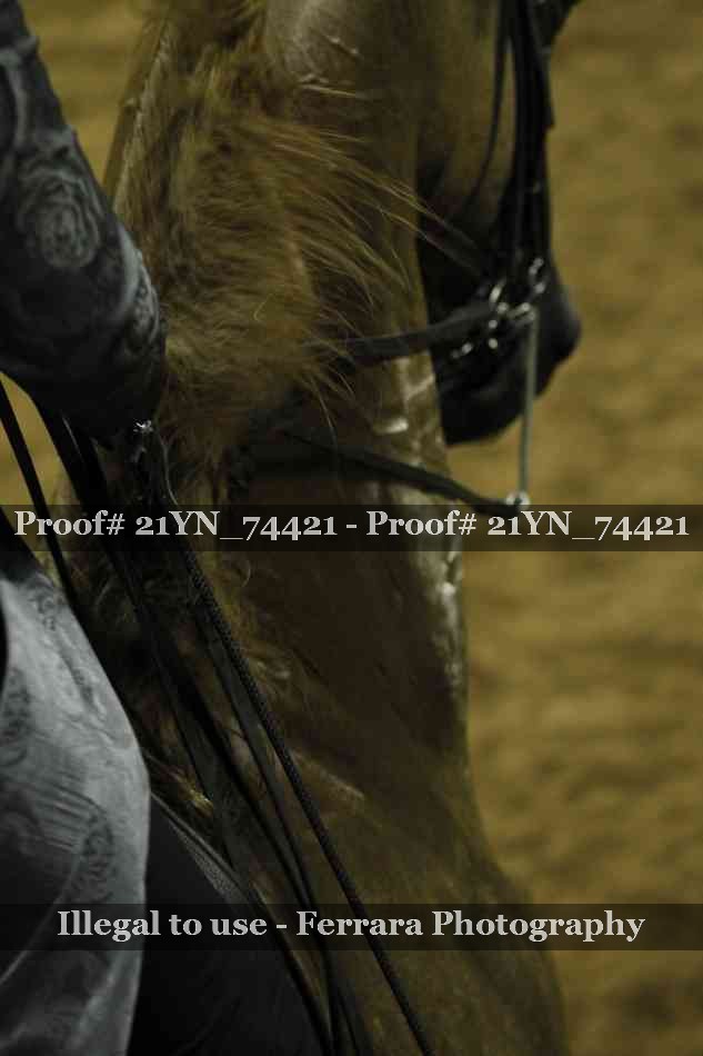 Proof Number 21YN_74421