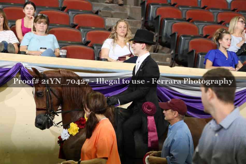 Proof Number 21YN_70427