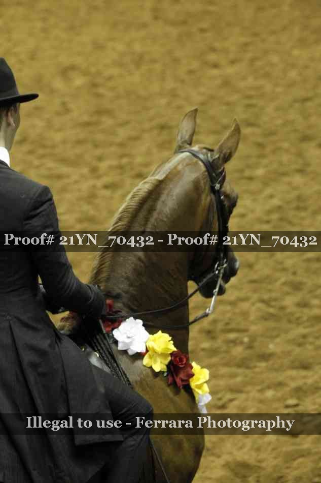 Proof Number 21YN_70432