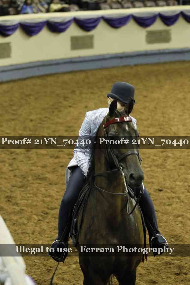Proof Number 21YN_70440