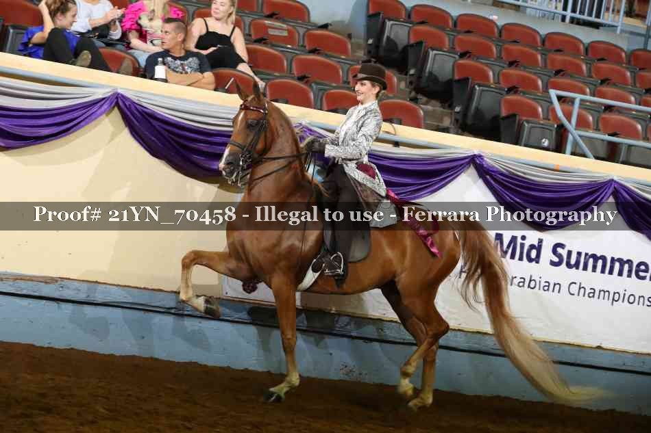 Proof Number 21YN_70458