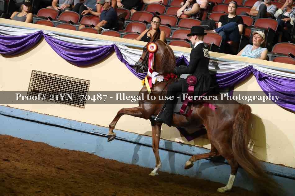 Proof Number 21YN_70487