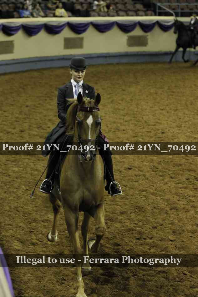 Proof Number 21YN_70492