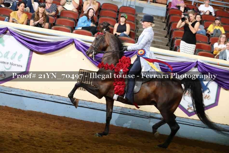 Proof Number 21YN_70497
