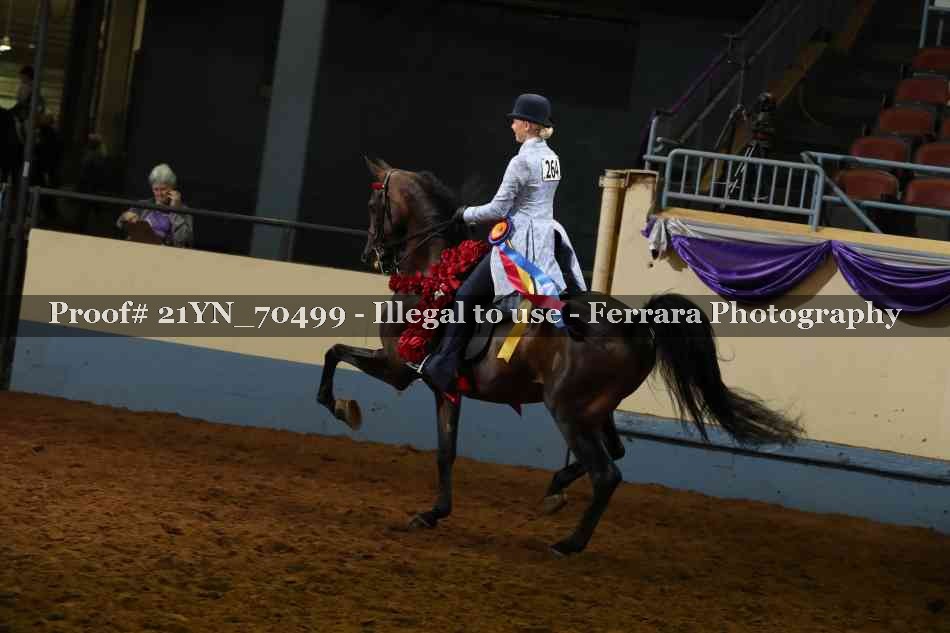 Proof Number 21YN_70499