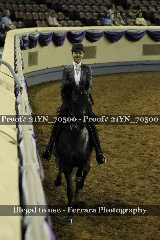 Proof Number 21YN_70500
