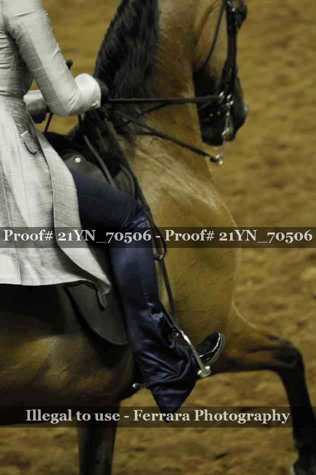 Proof Number 21YN_70506