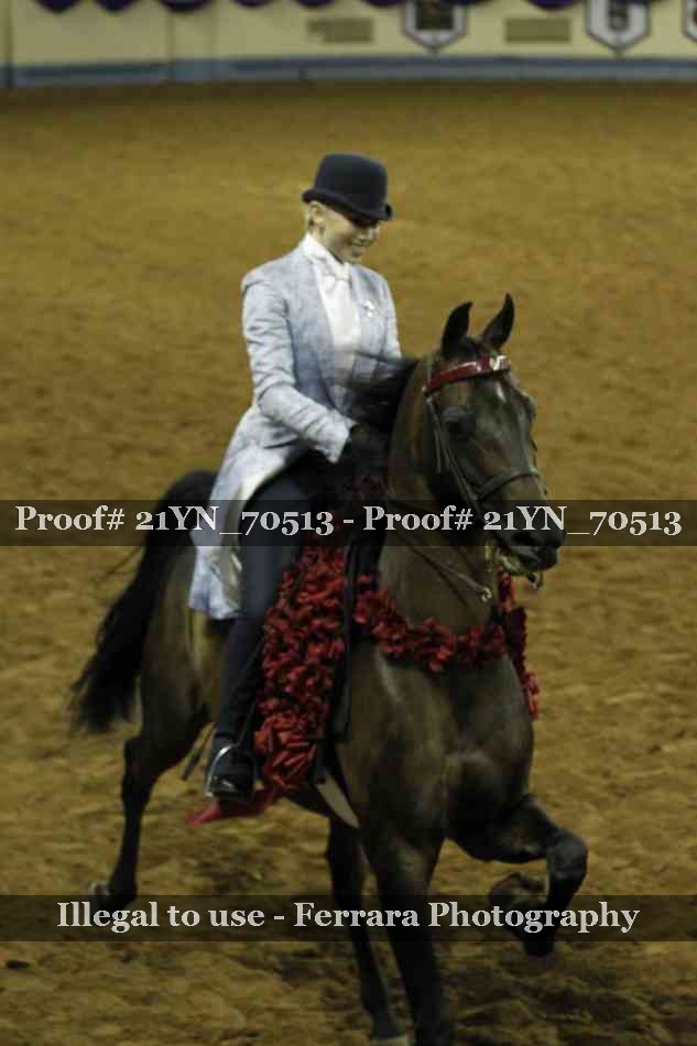 Proof Number 21YN_70513