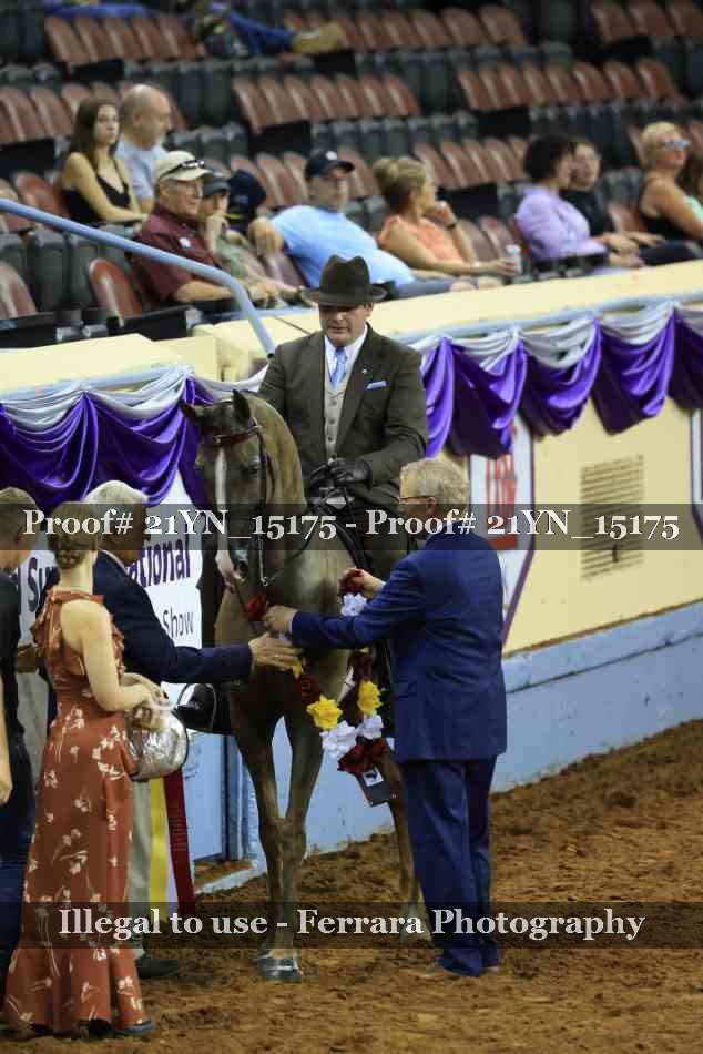 Proof Number 21YN_15175