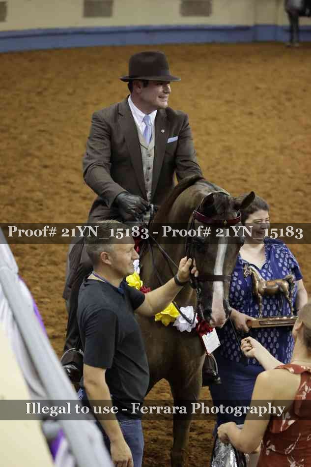 Proof Number 21YN_15183