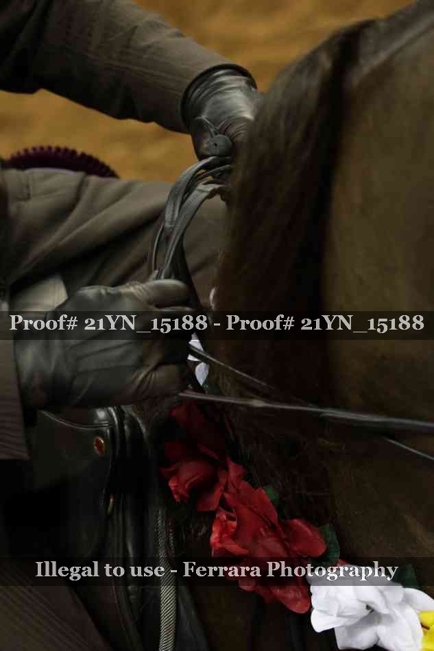 Proof Number 21YN_15188