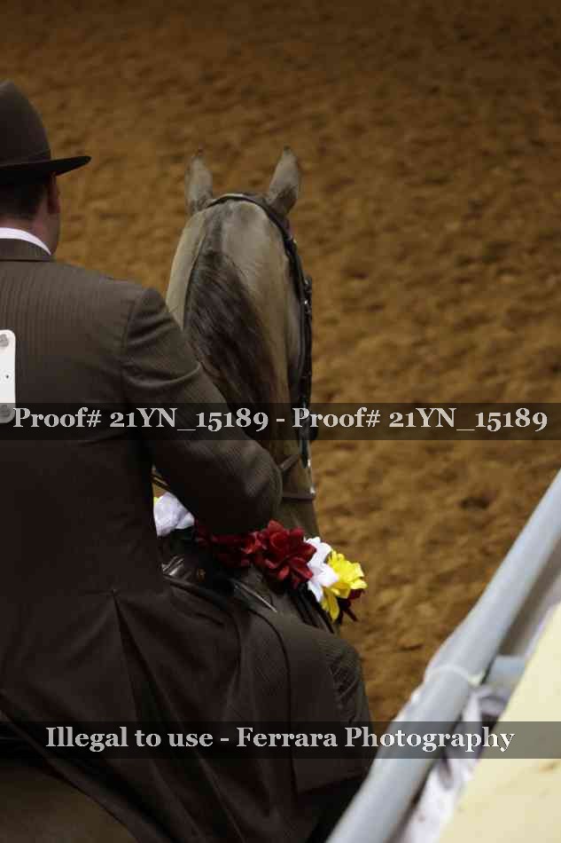 Proof Number 21YN_15189