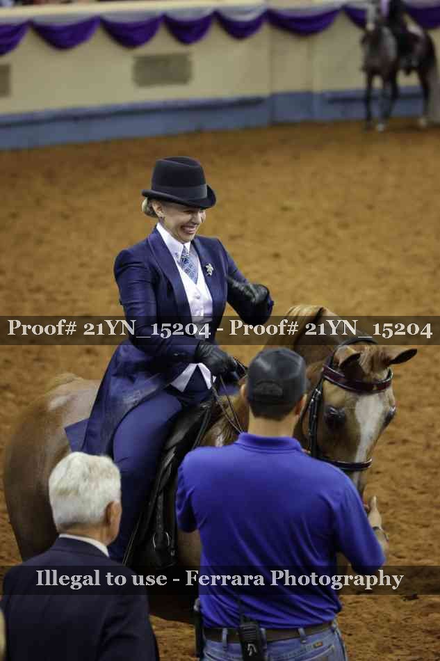 Proof Number 21YN_15204