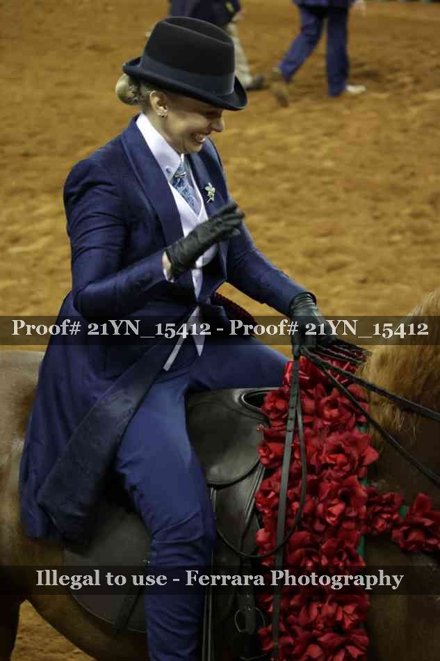 Proof Number 21YN_15412