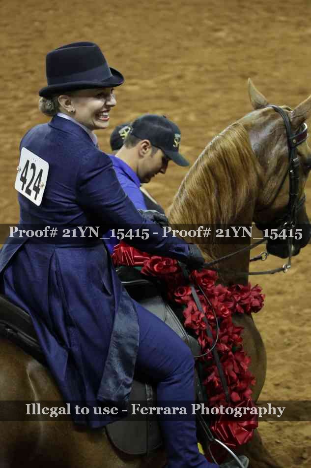Proof Number 21YN_15415