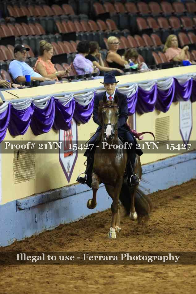 Proof Number 21YN_15427