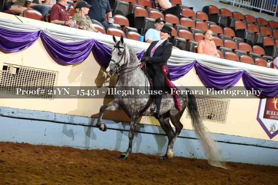 Proof Number 21YN_15431