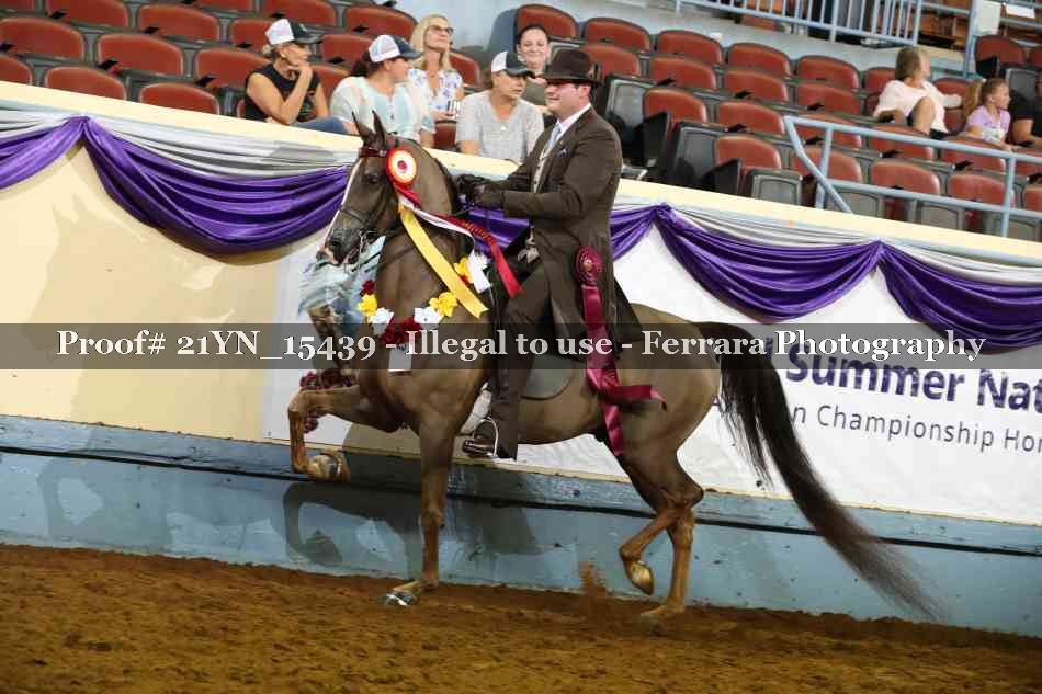 Proof Number 21YN_15439