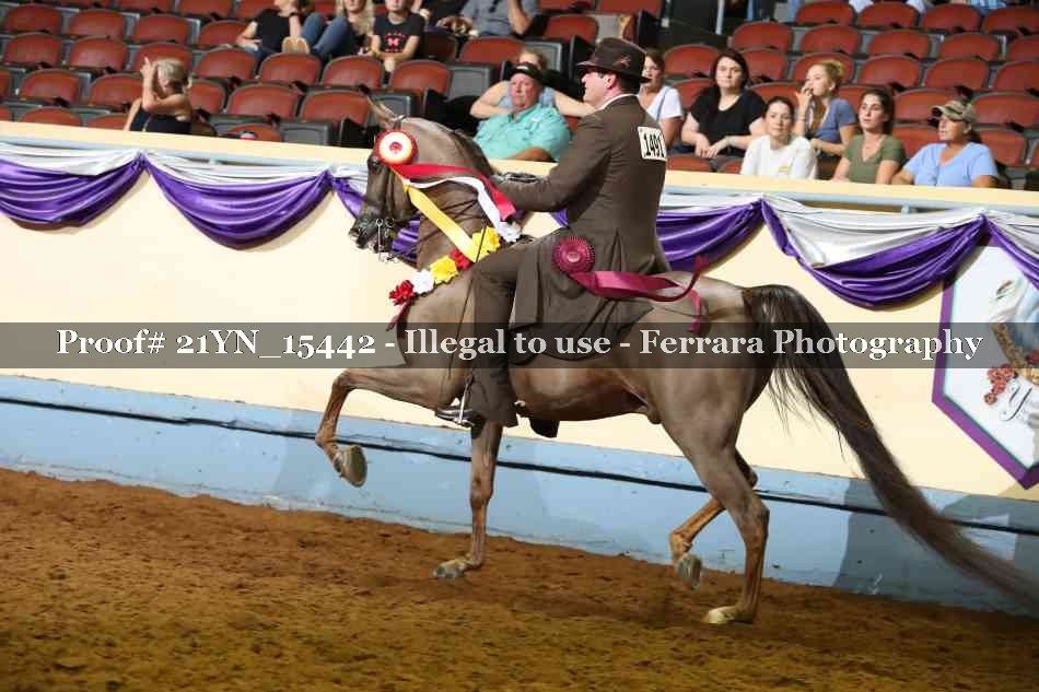 Proof Number 21YN_15442