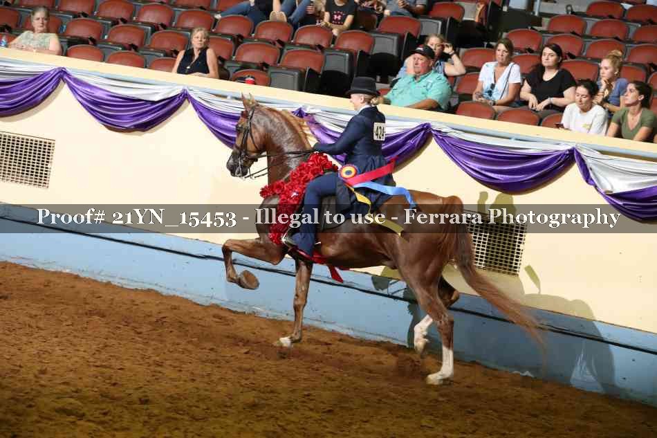 Proof Number 21YN_15453