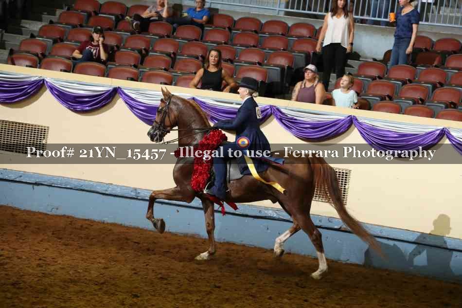 Proof Number 21YN_15457
