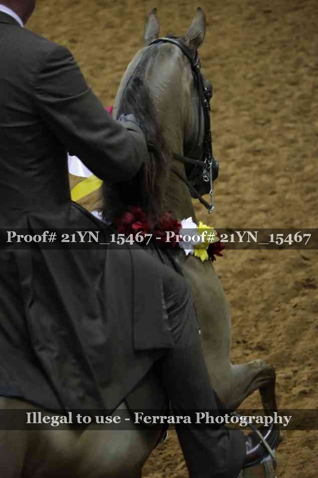Proof Number 21YN_15467